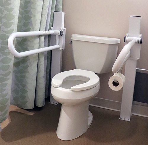 Assist Rails installed for toilet